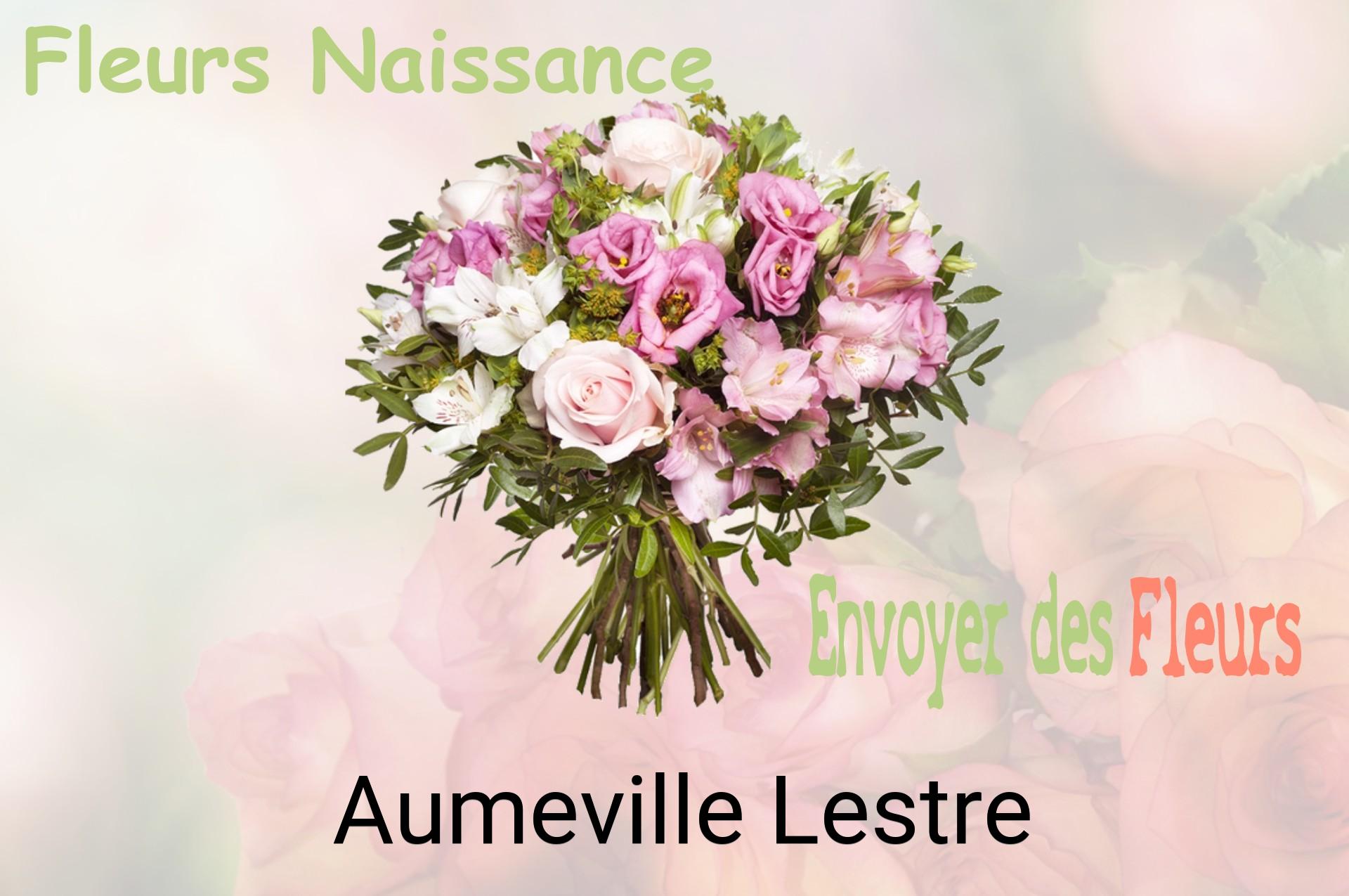 Bouquet de fleurs de naissance livré à Aumeville-Lestre